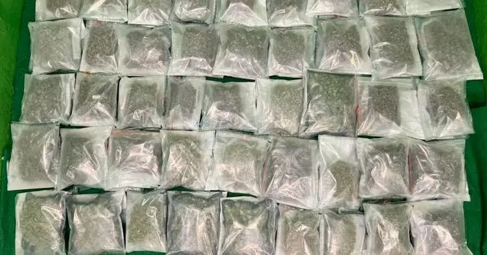 Hong Kong Customs Seizes 13.5 kg of Cannabis and Arrests Passenger at Airport