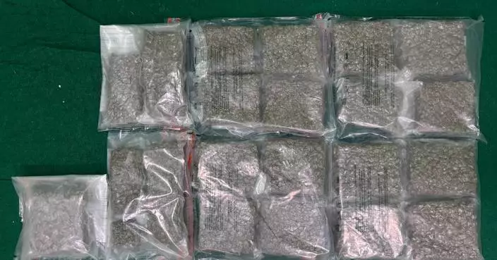 Hong Kong Customs Seizes 11 Kilograms of Cannabis Buds at Airport, Arrests Passenger from Bangkok.