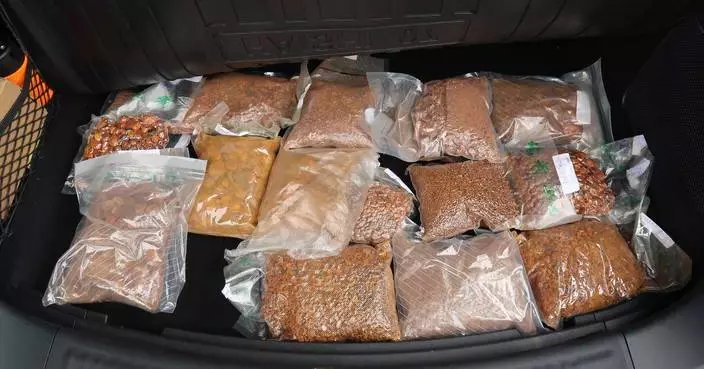 Hong Kong Customs Seizes 12kg of Smuggled Cattle Gallstones Worth $13.78 Million at Border Control Point