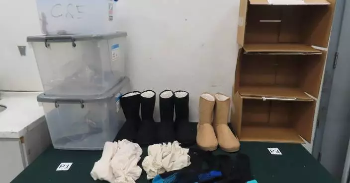 Customs Seizes 13 Endangered Lizards Worth $92,000 at Hong Kong Airport