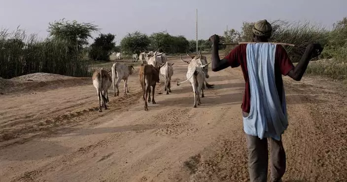 In Senegal, climate change is adding to historic tension between farmers and herders