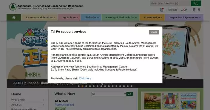 ASF Virus Detected in Yuen Long Pig Farm; Transportation Suspended and Culling Initiated