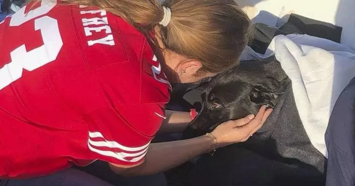 Lifeguards rescue dog swept out to sea by rip current off San Diego coast