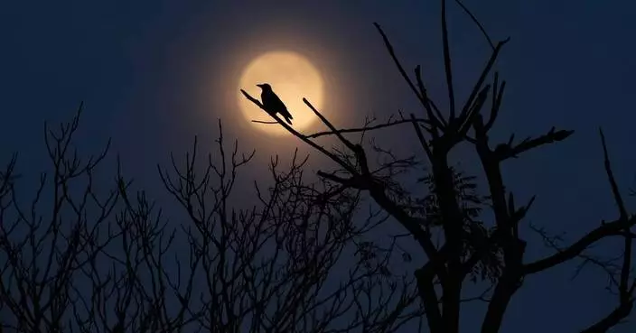 The top photos of the day by AP's photojournalists