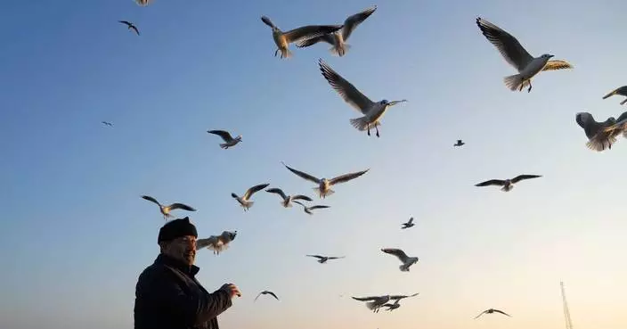 Photos of leisure and commerce along Iran’s Caspian Sea coast