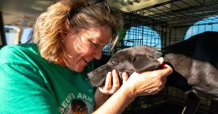 How Seuk Kim’s tragic plane crash built a volunteer army of pet rescuers