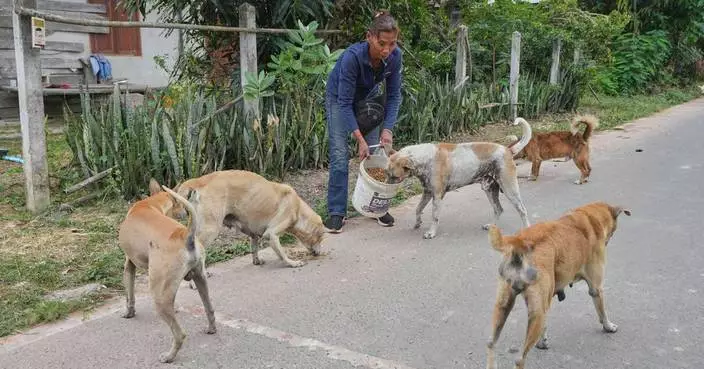 Thai villagers stay behind to guard empty homes as border clashes force mass evacuations