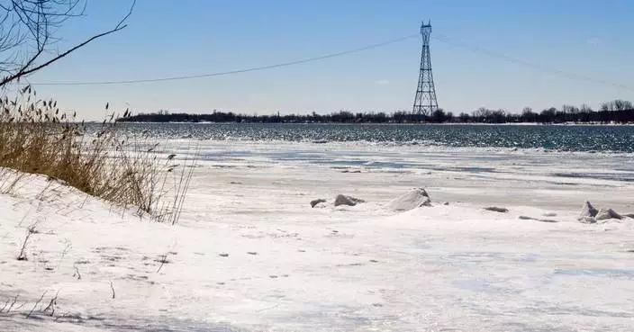 NPCC Reliability Assessment Projects Sufficient Electricity Supply to Meet Winter Demand Across Region