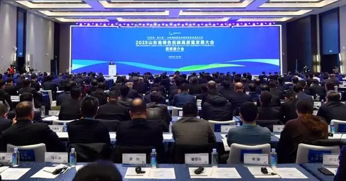 Yantai offers global bay areas a paradigm of low-carbon transformation