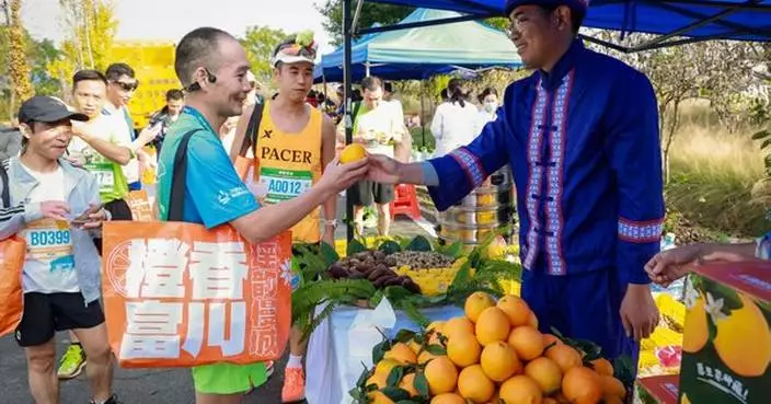 Xinhua Silk Road: Small navel oranges become big lever to boost ethnic county economy in Guangxi