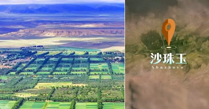 Qinghai Balances Ecological Restoration with Clean Energy Ambitions