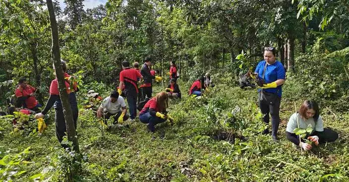 Jollibee Group Earns BBB MSCI ESG Rating, Reinforcing Global Sustainability Performance