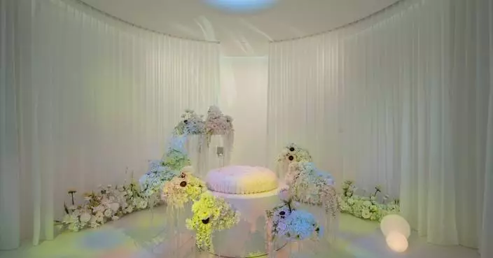 The Team Behind Casket Fairprice Launches Everpet, a Pet Funeral Company in Singapore