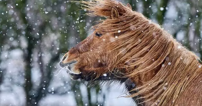 The top photos of the day by AP’s photojournalists