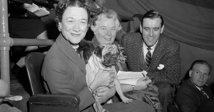 The Westminster dog show is turning 150. Here’s what has — and hasn’t — changed over time