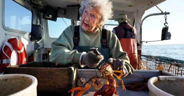 Maine's 'lobster lady' Virginia Oliver, who worked decades in the lobster industry, dies at 105