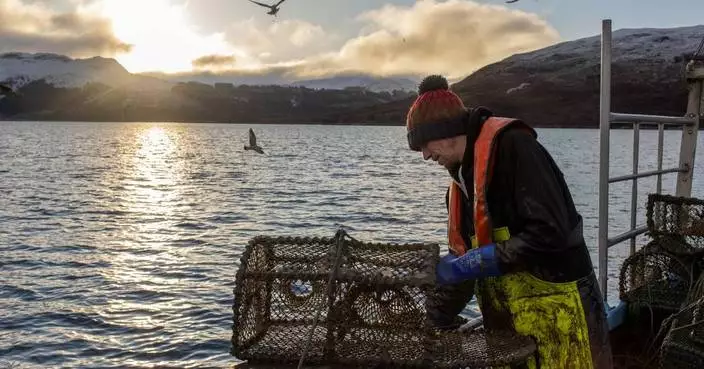 In Scotland, fishing trawlers scrape the seabed despite protection promises