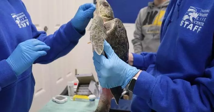 Avangrid Foundation Awards $250,000 in Grants to Wildlife Rehabilitation Centers