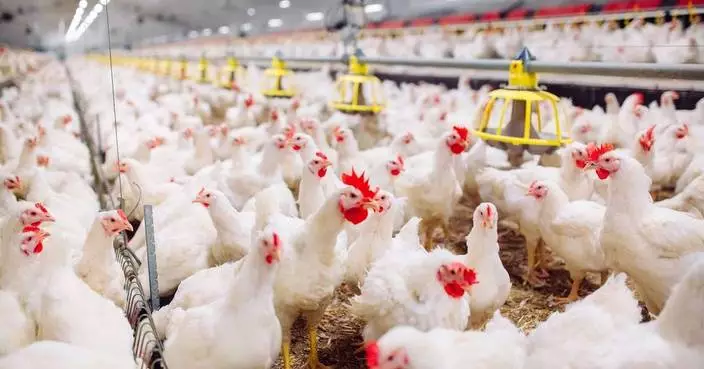 KENT® Nutrition’s ARGIS® Featured in IPPE New Product Showcase