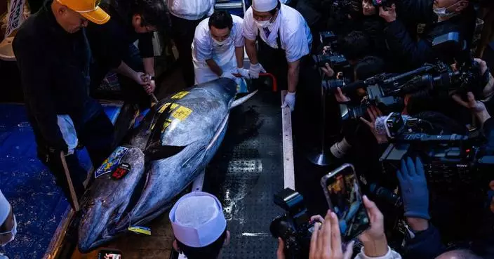 That's some pricey fish: A glimpse into Japan's New Year's tuna auction