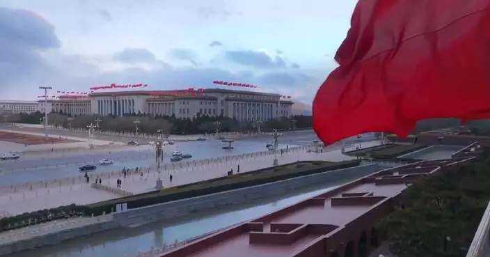 Global observers hail Xi’s New Year message