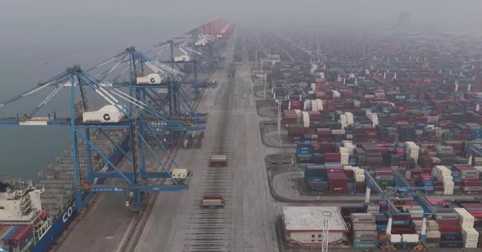 Beibu Gulf Port in south China's Guangxi sees annual container throughput hit record high