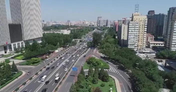 China’s development path contributes experience to global development: experts