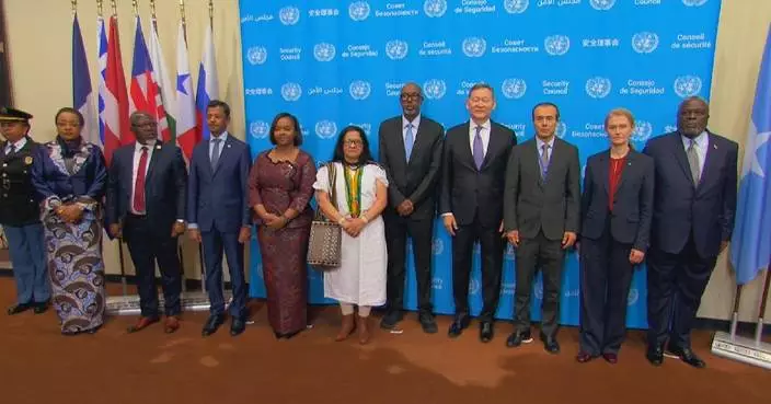 5 countries assume responsibilities as UN Security Council non-permanent members