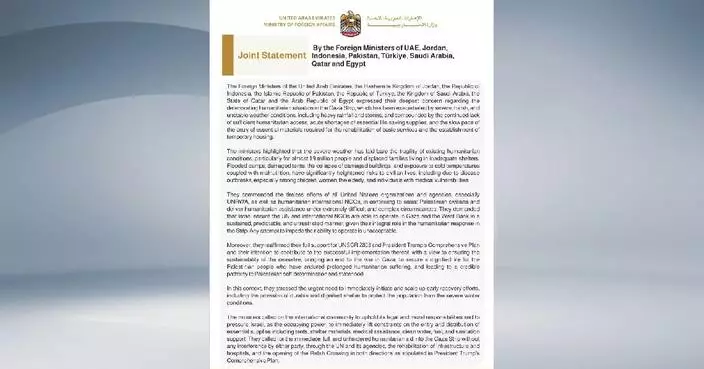 Arab, Islamic countries voice concern over worsening humanitarian crisis in Gaza