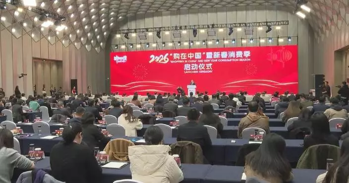 China launches consumption promotion campaign to boost New Year spending