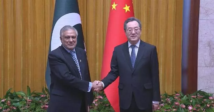 Chinese vice premier calls for closer China-Pakistan community with shared future