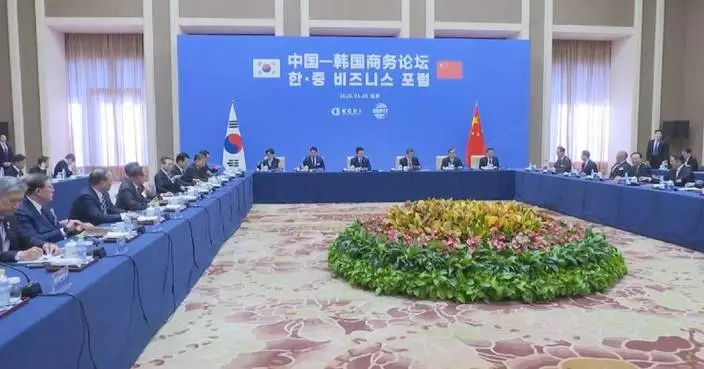 China, ROK businesses eye closer high-tech cooperation