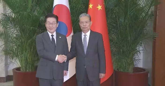 China's top legislator respectively meets ROK president, Irish PM