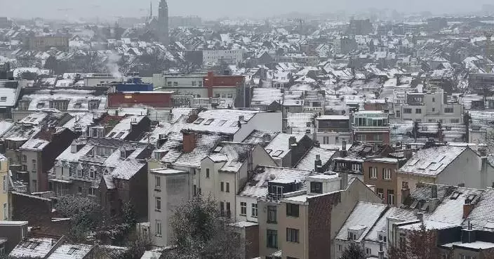 Snow, ice disrupt traffic in Belgium