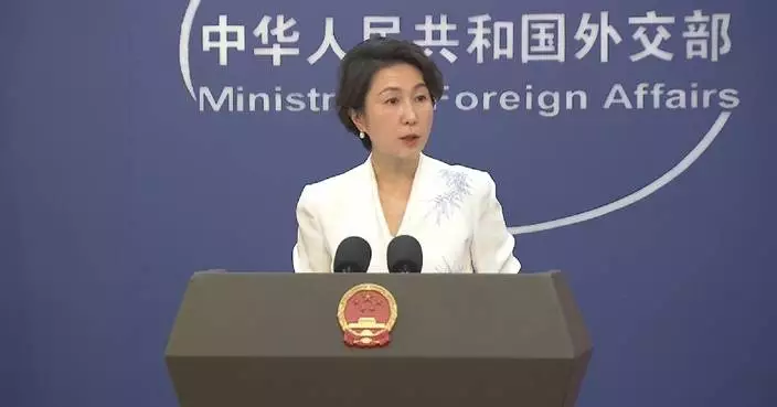 Fighting online gambling, telecom fraud crimes int’l community’s shared responsibility: spokeswoman