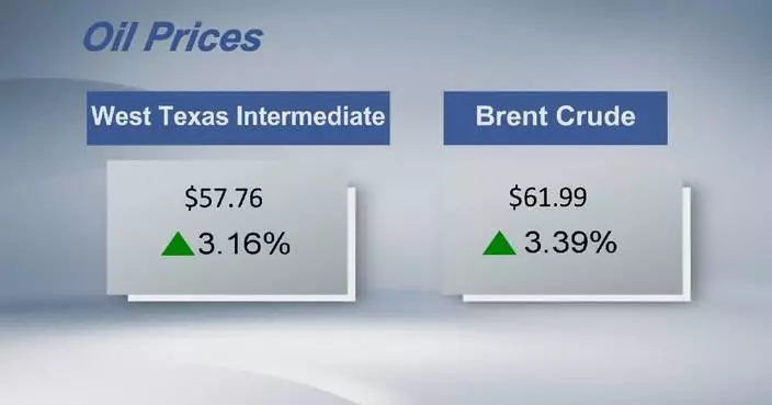 Crude futures settle higher