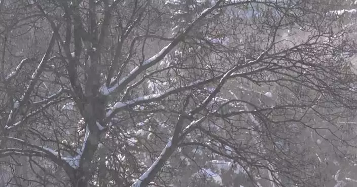 Hungary activates 'red code' as heavy snow disrupts transport nationwide