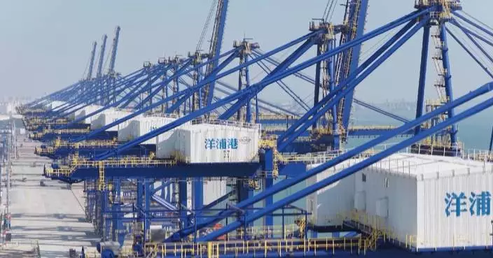 China’s Yangpu Port beats annual targets as container throughput jumps 65 pct in 2025