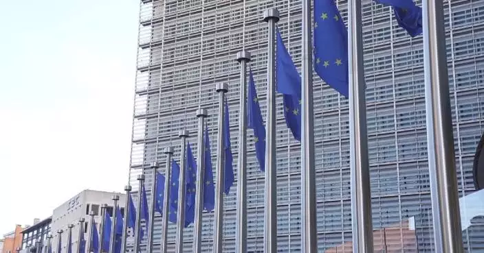 EU, Finnish officials express concerns over US remarks on Greenland