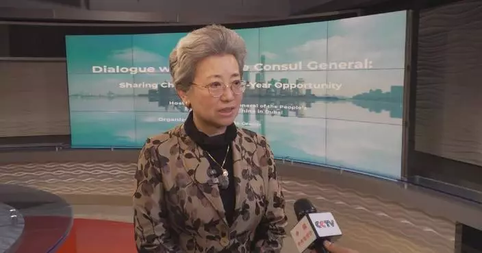 China, UAE advance economic, trade cooperation in 2025