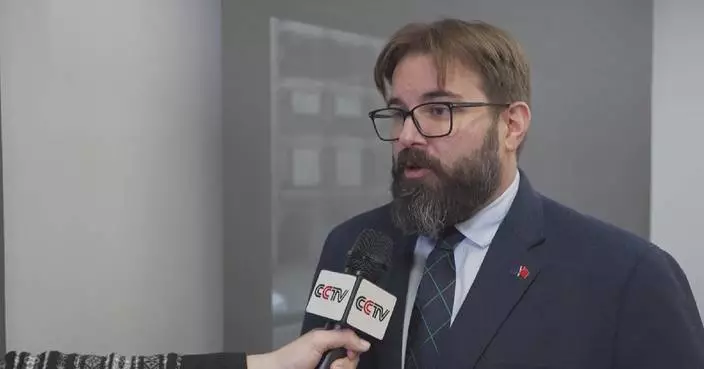 Japan should face up to history squarely: Spanish expert