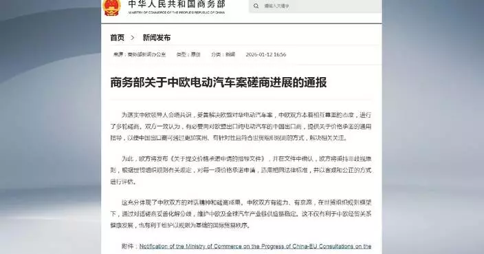 China, EU agree on price undertaking guidance for Chinese electric vehicle exporters: commerce ministry