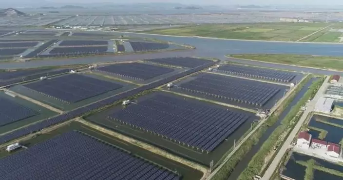 China extends anti-dumping tariffs on solar-grade polysilicon imports from US, ROK