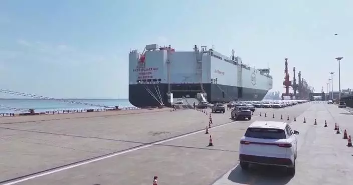 Chinese commerce chambers welcome latest development in China-EU EV talks