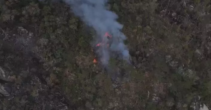 Wildfire extinguished in south China's Guangdong after 17 hours of efforts