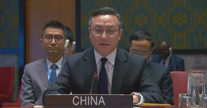 China voices expectations for Yemen issue at UNSC meeting