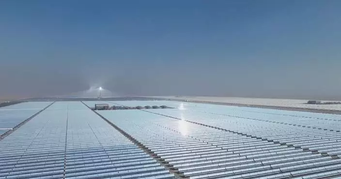 Chinese companies seek greater role in Gulf states' energy transition