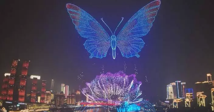 Chinese premier chairs meeting on promoting service consumption