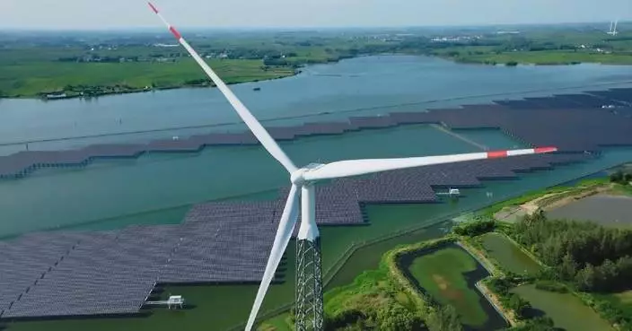 China's power green transition supports high-quality development