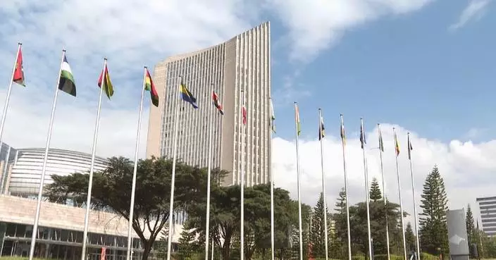 AU chief on crisis prevention